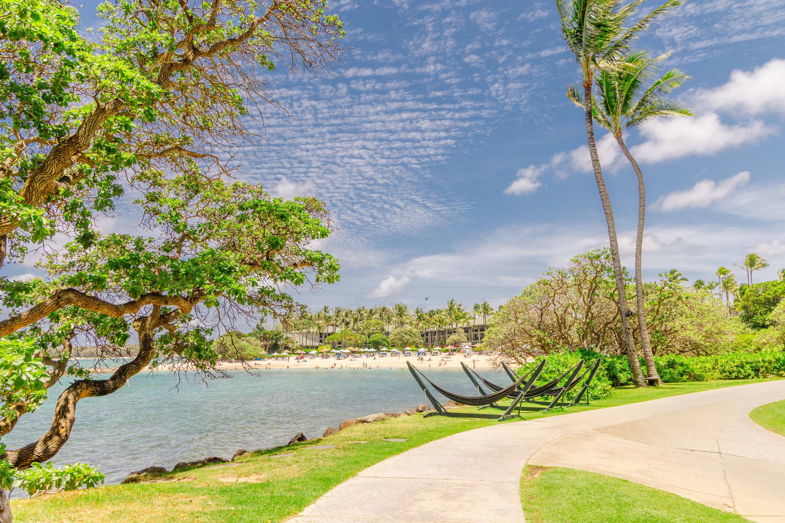 Home in Kahuku · ★5.0 · 3 bedrooms · 3 beds · 2.5 private baths - Image 81