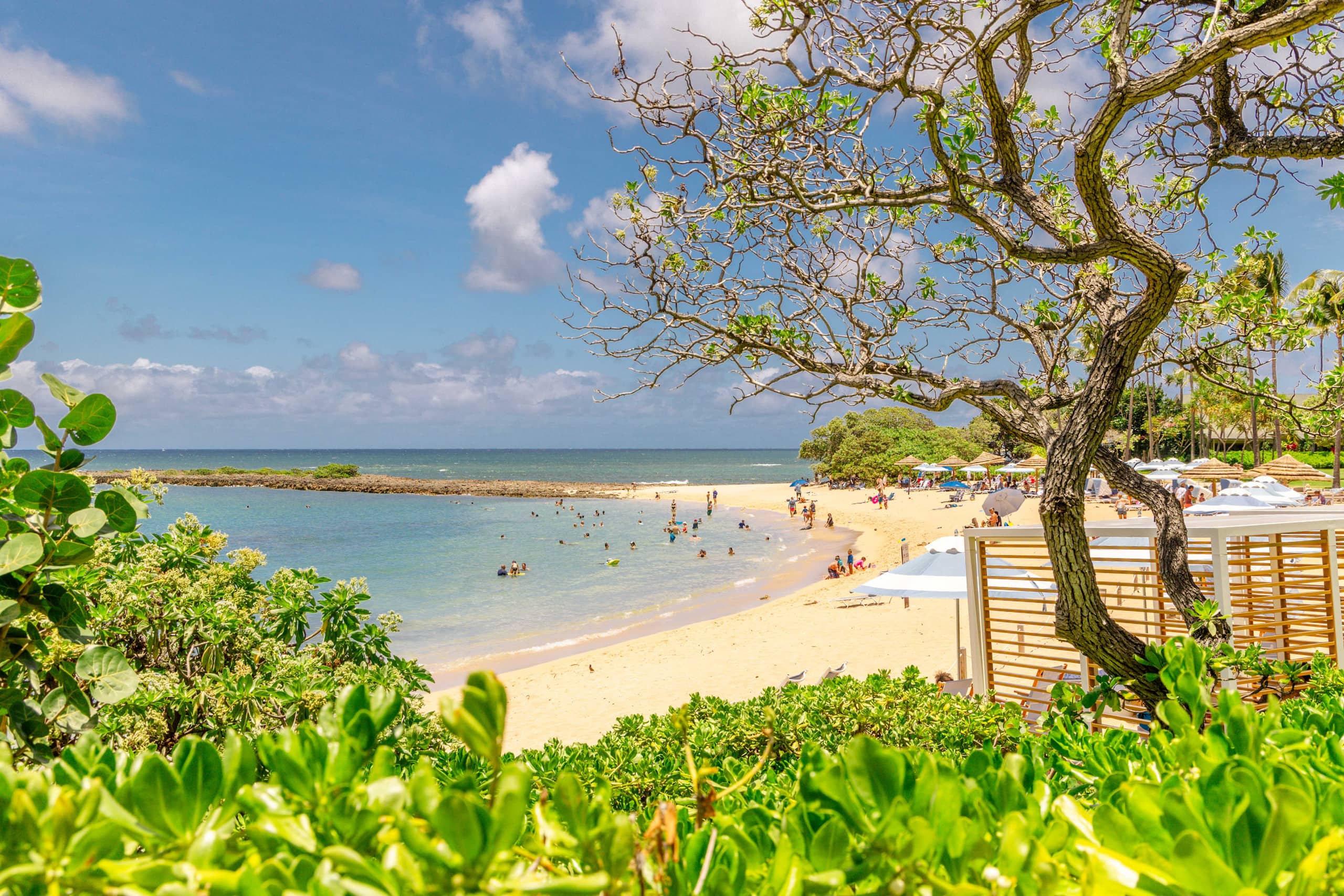 Home in Kahuku · ★5.0 · 3 bedrooms · 3 beds · 2.5 private baths - Image 60
