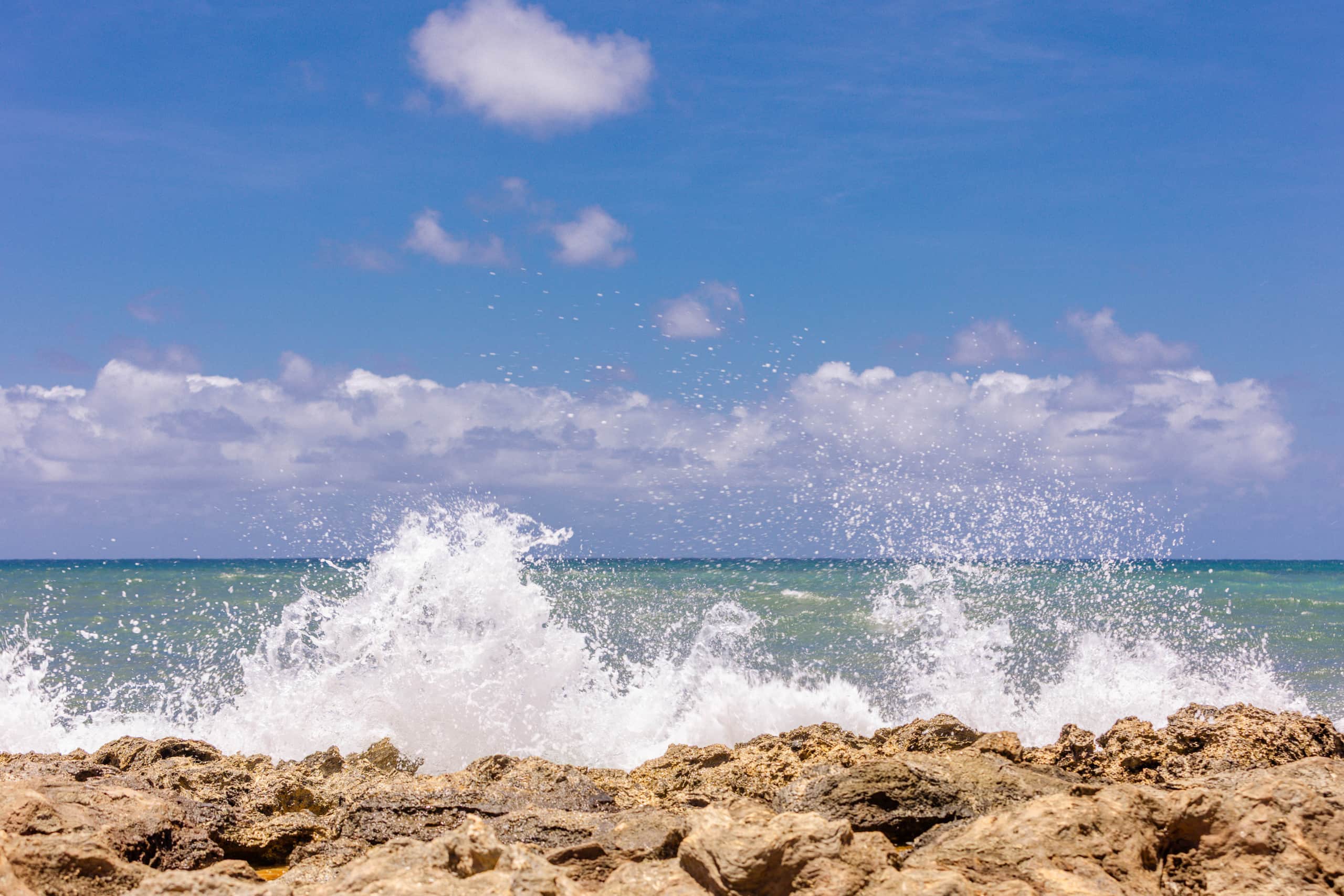 Home in Kahuku · ★5.0 · 3 bedrooms · 3 beds · 2.5 private baths - Image 94