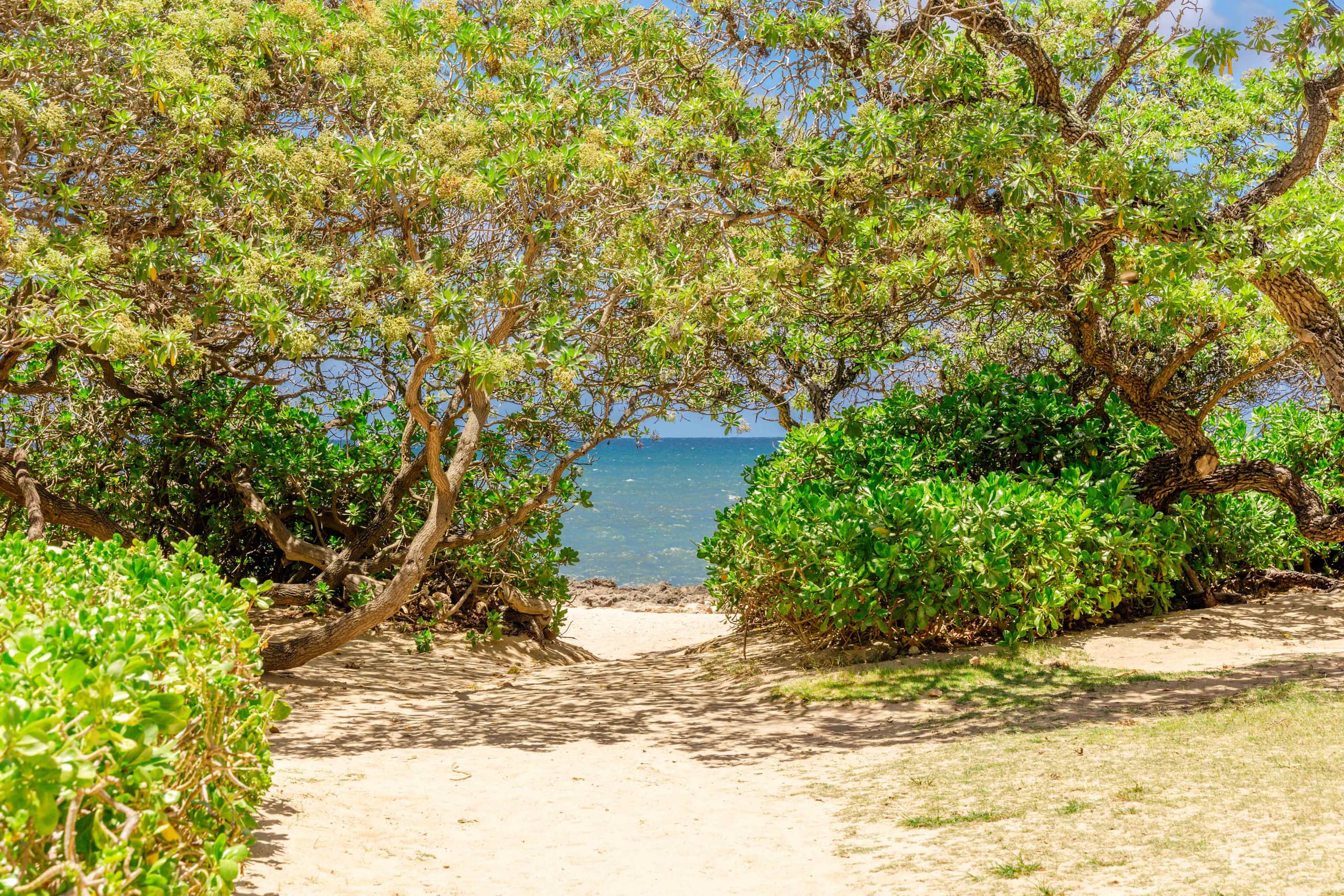 Home in Kahuku · ★5.0 · 3 bedrooms · 3 beds · 2.5 private baths - Image 61