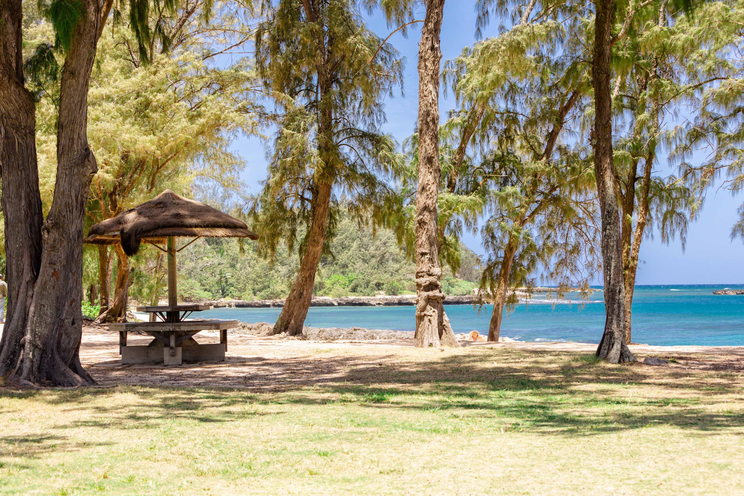 Home in Kahuku · ★5.0 · 3 bedrooms · 3 beds · 2.5 private baths - Image 78