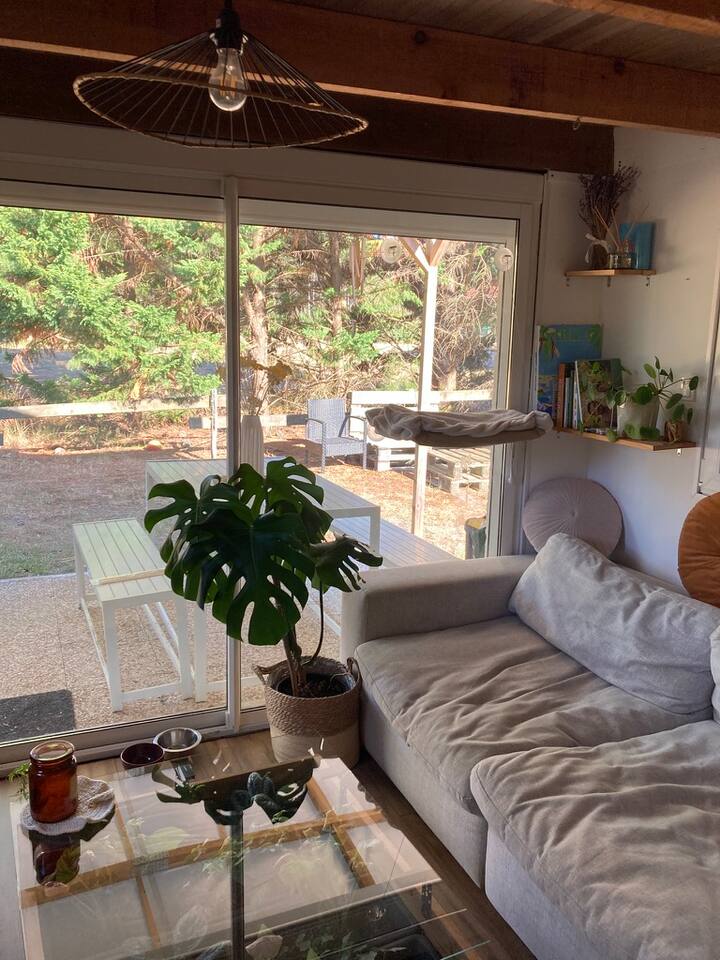 Studio Dans Les Pins - Saint-Girons Plage