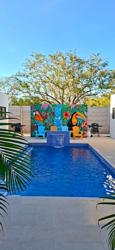 New! 2 Modern Tropical Casas - Lapa & Toucan