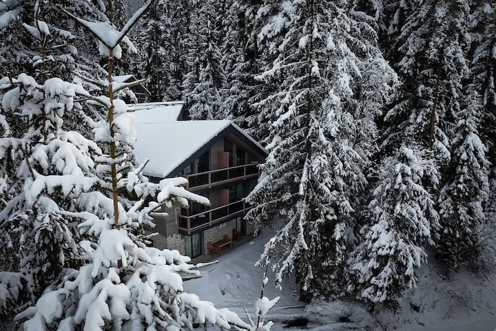 ŠTvrtá Voda / Apartment Smrekovica / In Forrest - Liptovský Mikuláš