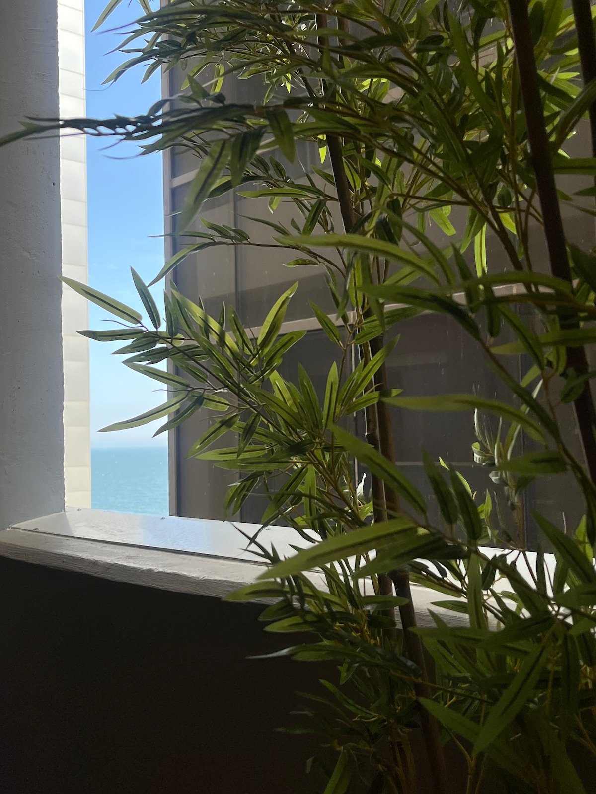 Sunlight filters through a window adorned with lush green bamboo plant. The tranquil blue sea is visible in the background, adding a serene touch to the interior space.