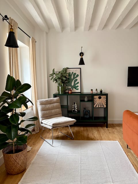 Annonce Airbnb populaire: Triplex with Terrace in the Historic Center à Sens