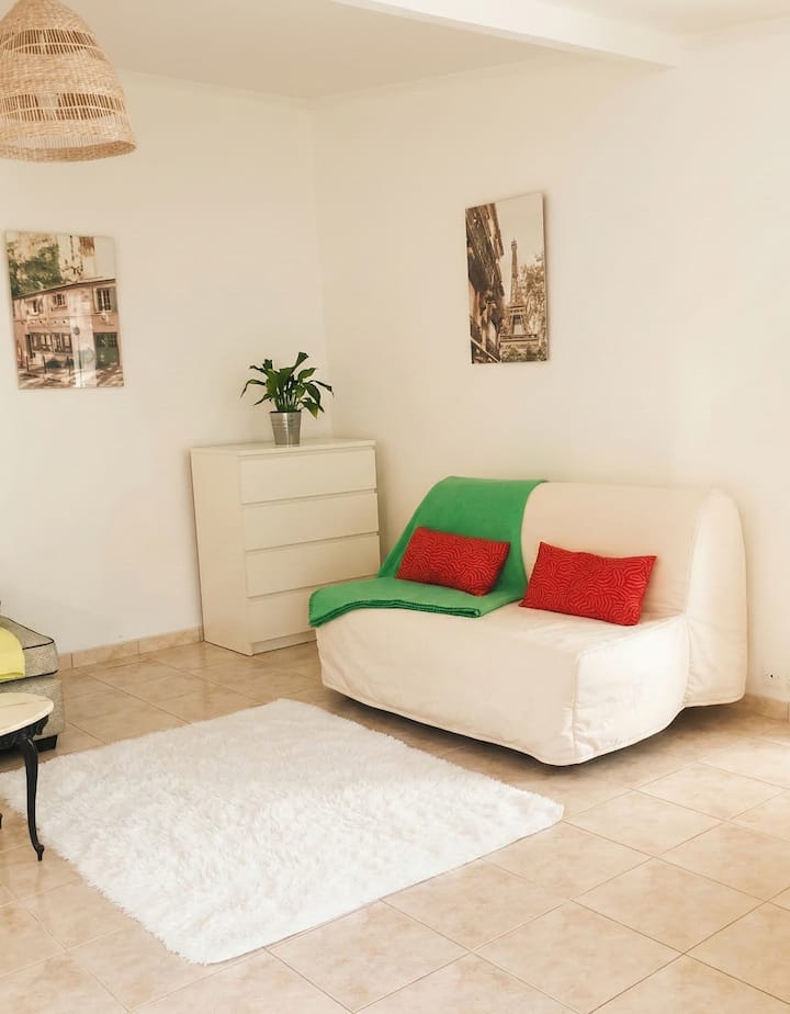 Charming House With Garden Near Paris - Saint-Maur-des-Fossés