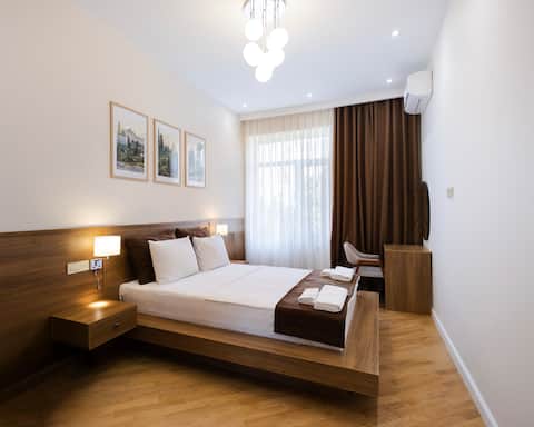 Newly rennovated Nizami street apartment