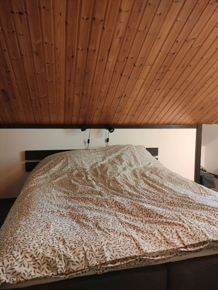 Habitación 1
