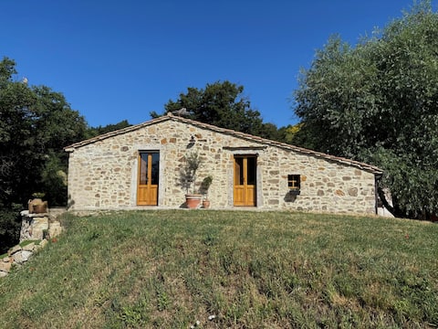 Ancient barn Bagni San Filippo "lavender room"