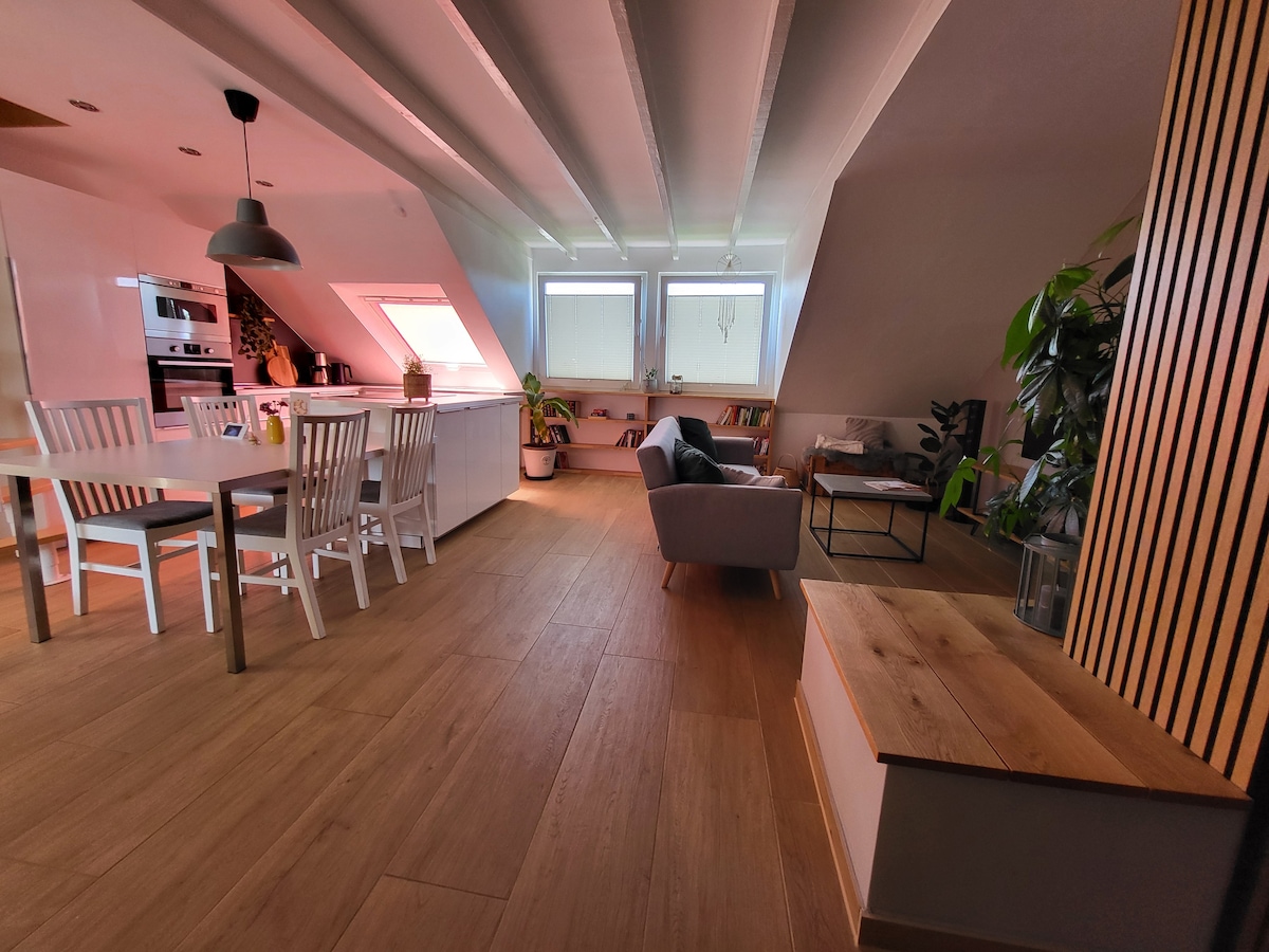 Popular Airbnb listing: Lovingly designed apartment in Aachen