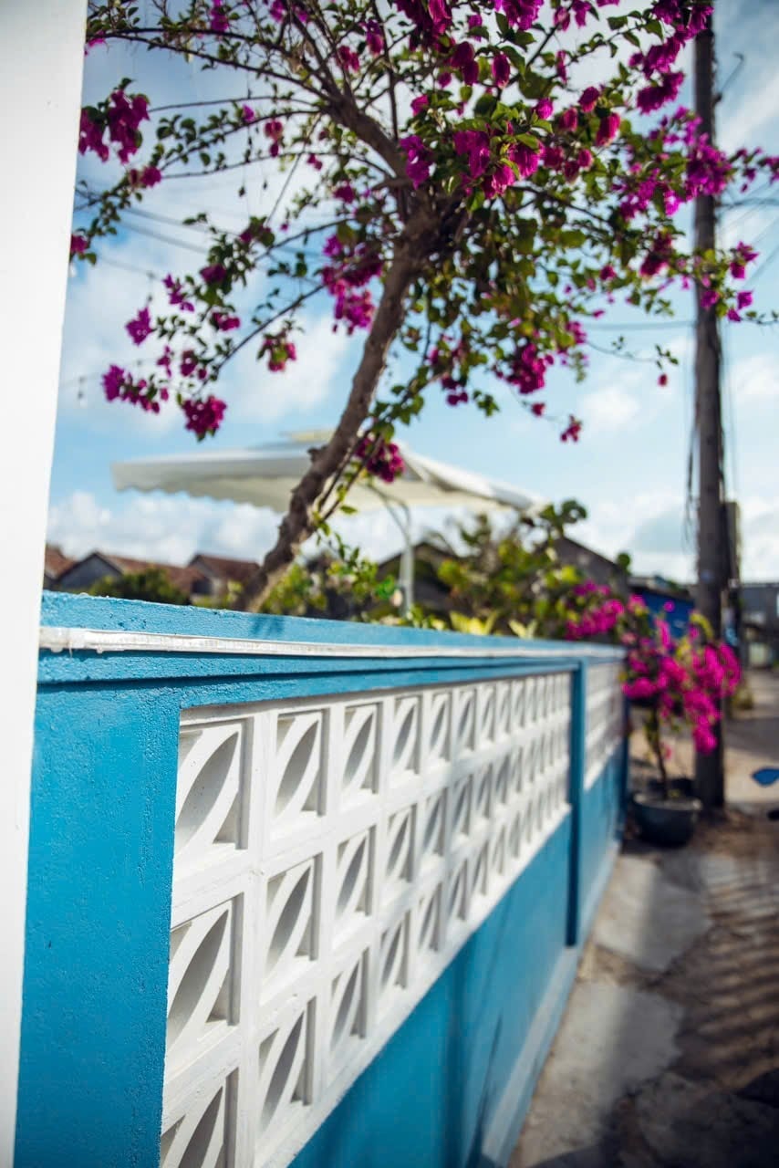 A decorative wall featuring geometric patterns stands in blue, adorned with vibrant bougainvillea flowers in shades of purple. A shaded area can be seen in the background, contributing to the outdoor ambiance.