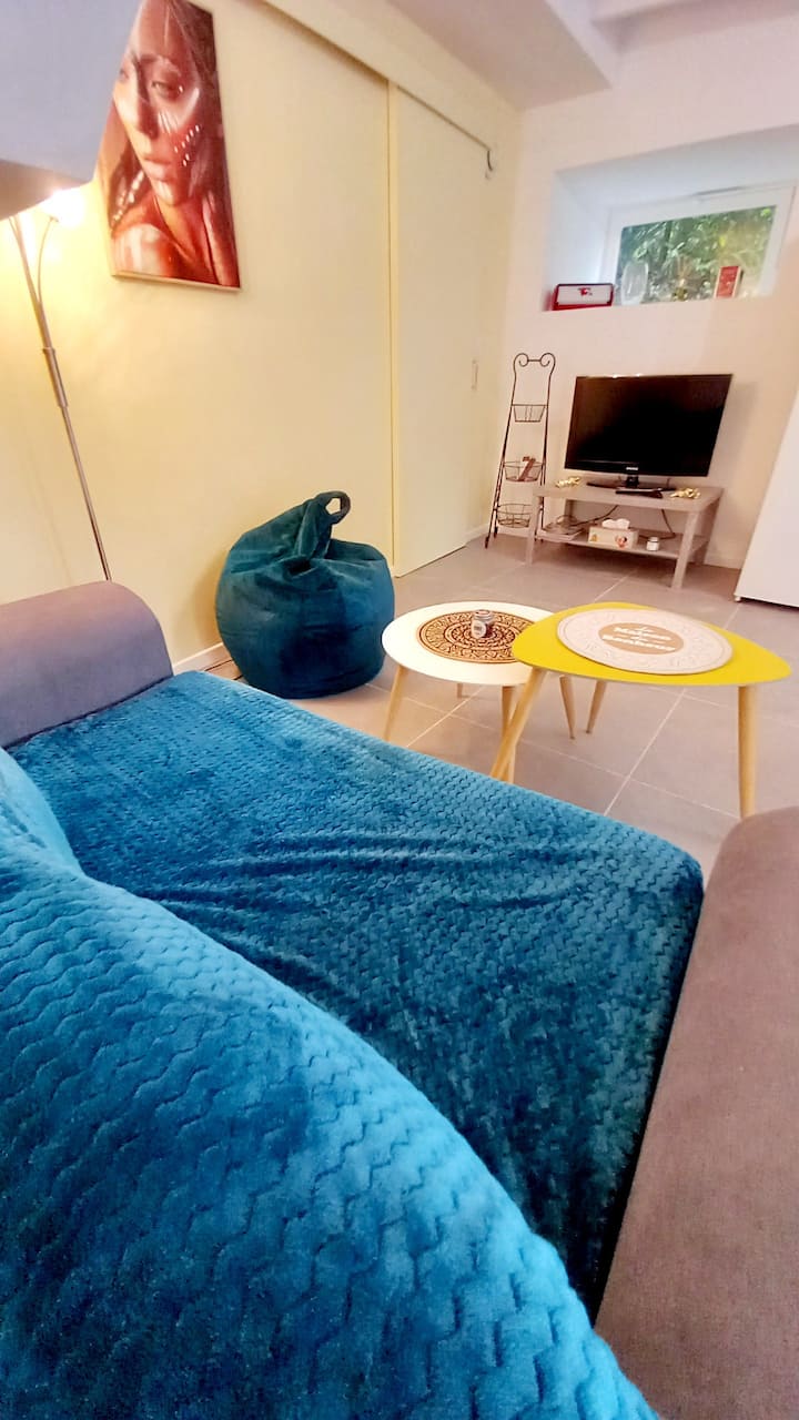 გასაშლელი დივანი და ტელევიზორი 