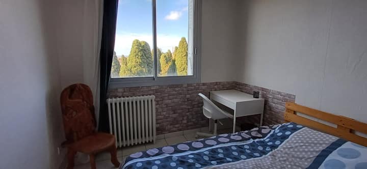 Chambre Chez Lhabitant - Toulouse