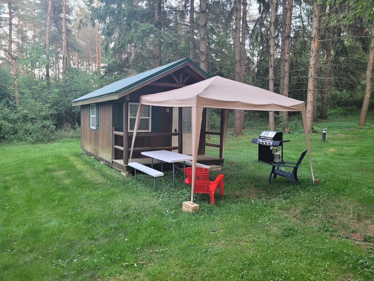 A cabin is set within a green landscape, surrounded by trees. A tented area with a picnic table and benches is present, along with a gas grill. An outdoor chair provides additional seating, creating a space for relaxation and dining.