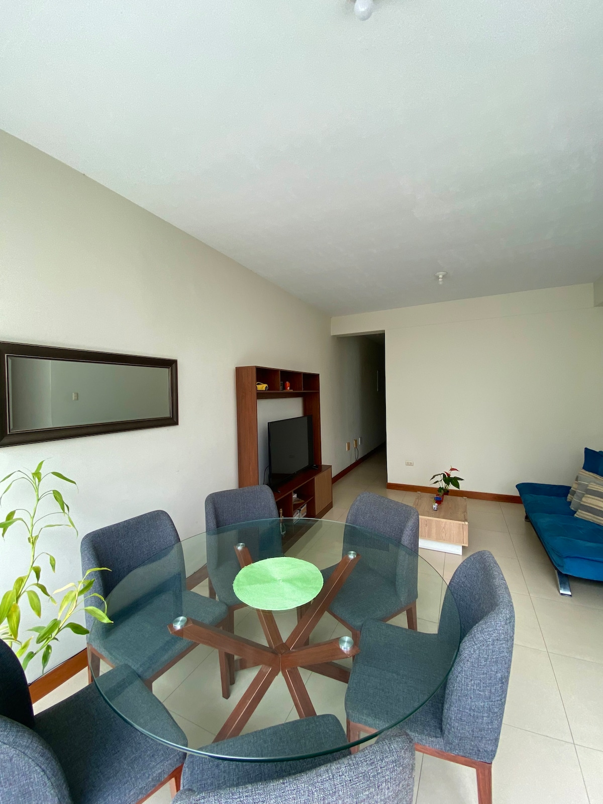 A bright dining area is illuminated by natural light, featuring a round glass table surrounded by six upholstered chairs. A wooden cabinet holds a television, and a blue sofa is positioned in the corner, adding comfort to the space. A potted plant enhances the inviting atmosphere.