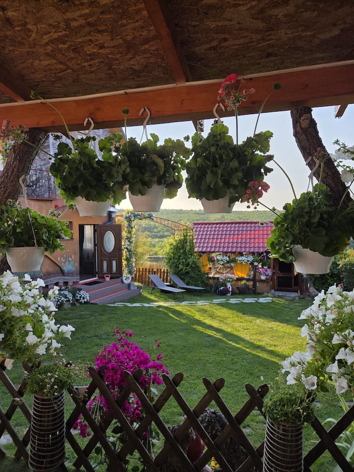 Queen Room With Garden View - Oradea