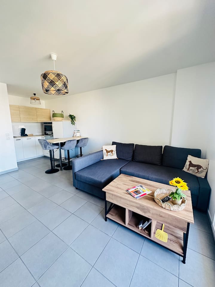 Charmant T2 | Parking Privé | Proche Gare - ibis Styles Lyon Sud Vienne