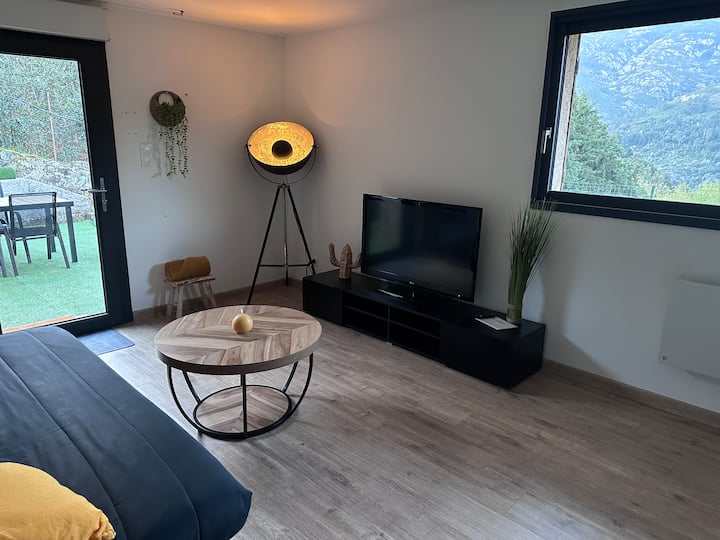 Rez-de-villa T3 Avec Jacuzzi Privatif - Vizzavona