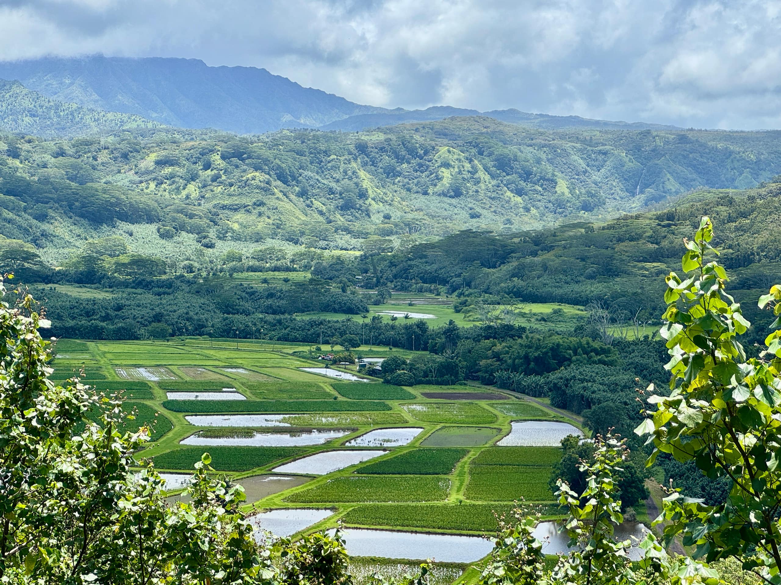 Condo in Princeville · ★5.0 · 1 bedroom · 3 beds · 2 private baths - Image 55