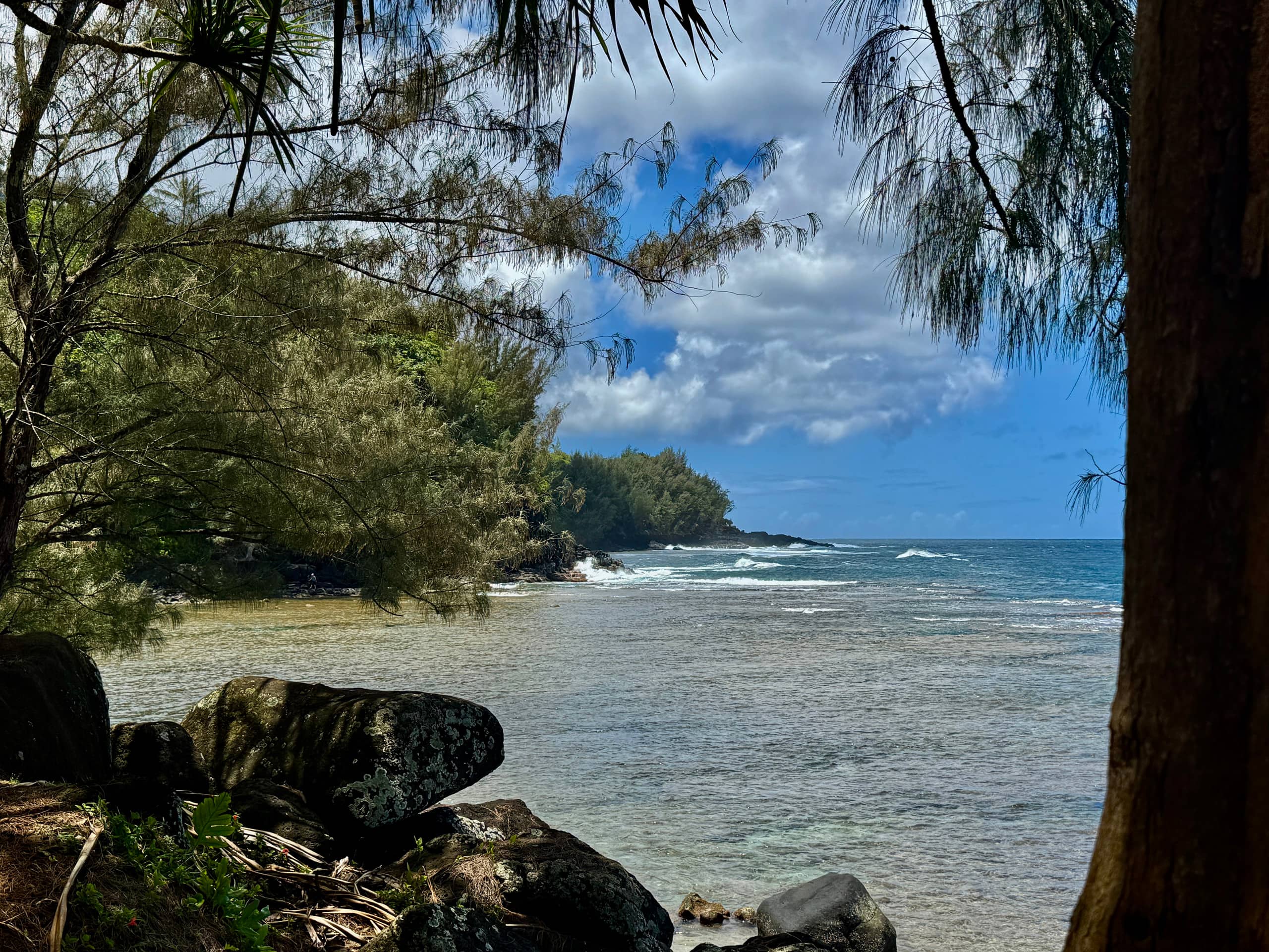 Condo in Princeville · ★5.0 · 1 bedroom · 3 beds · 2 private baths - Image 59