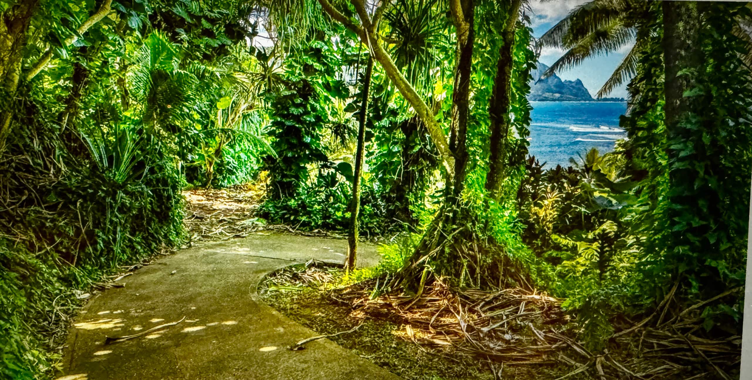 Condo in Princeville · ★5.0 · 1 bedroom · 3 beds · 2 private baths - Image 46