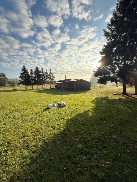 Ranch life at a Distillery on a Lake