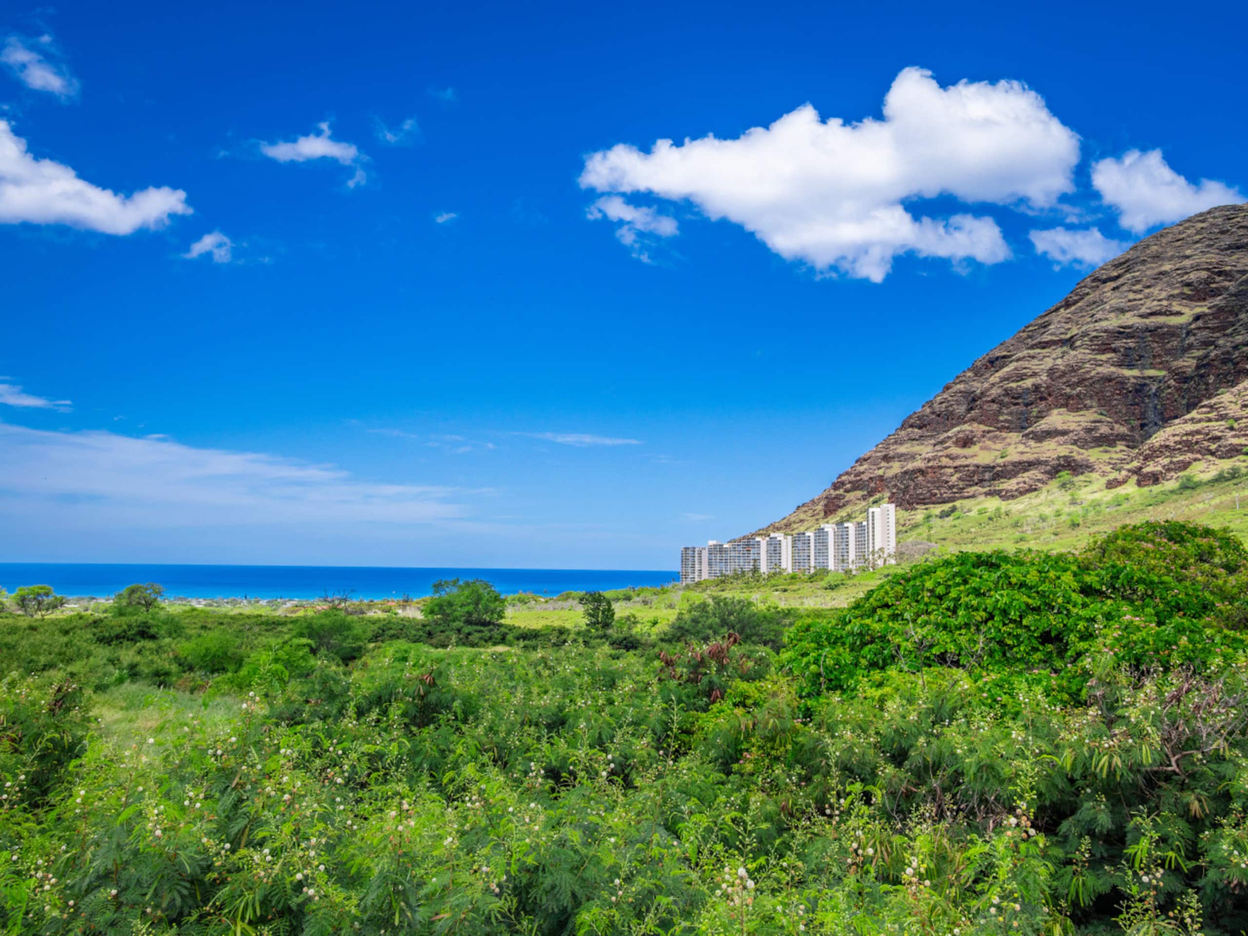 Home in Makaha Valley · ★5.0 · 4 bedrooms · 5 beds · 2.5 private baths - Image 58