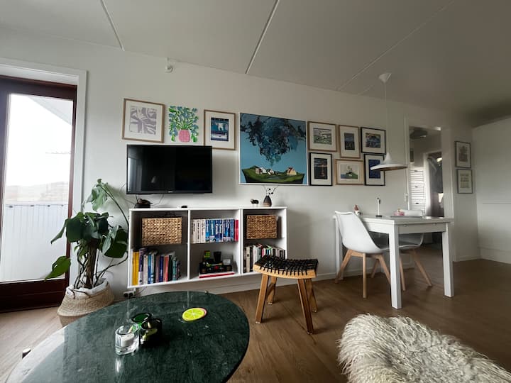 A Cosy One Bedroom Apartment - Islas Feroe