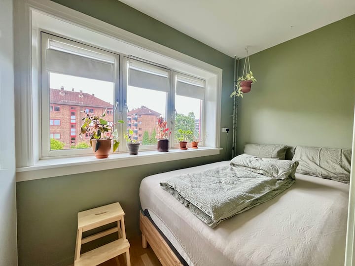 საძინებელი