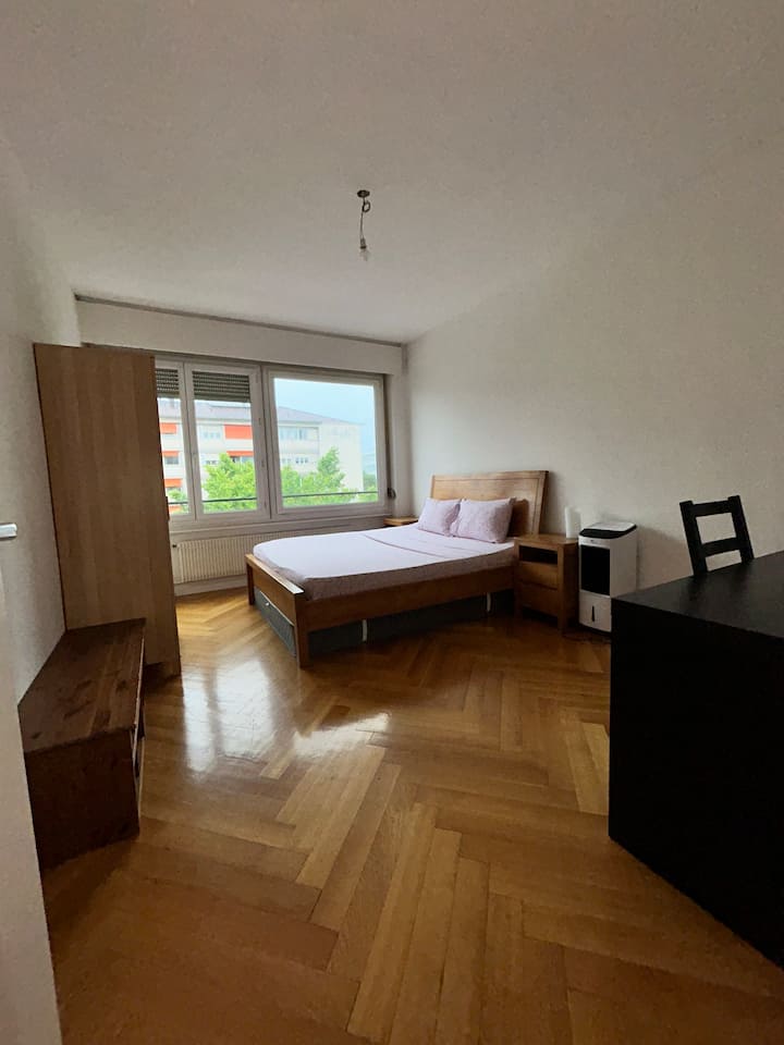 Cozy 1 Bedroom In Central Geneva - 제네바