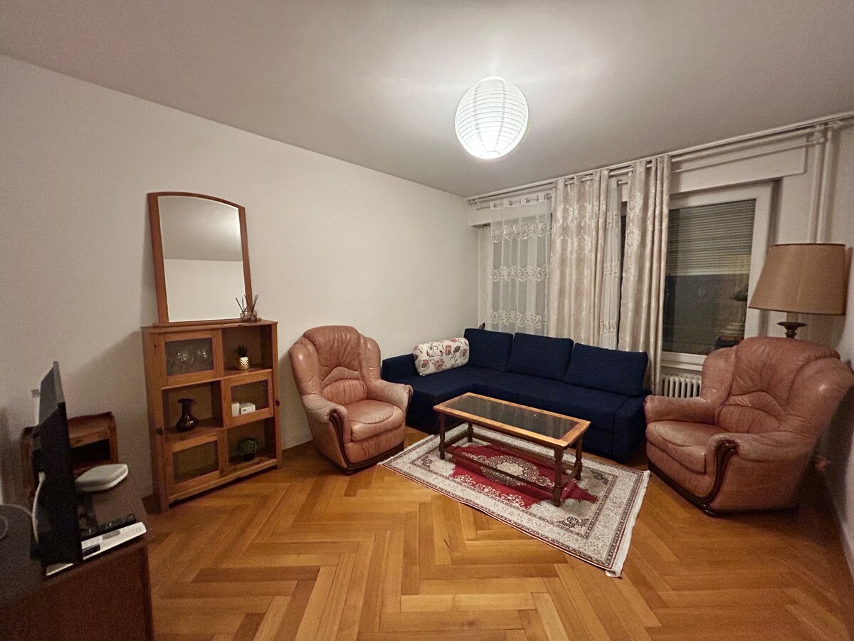 Popular Airbnb listing: Cozy 1 Bedroom in Central Geneva in Petit Saconnex Et Servette