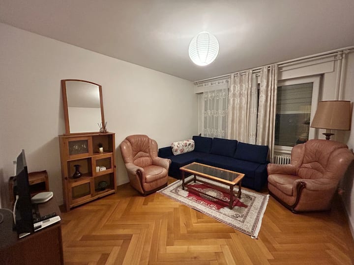 Cozy 1 Bedroom In Central Geneva - Genève