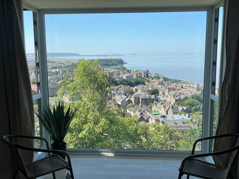 The View