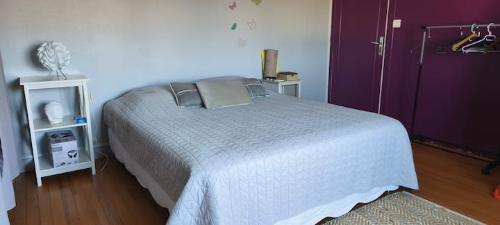 Grande Chambre Avec Salle D'eau Et Wc Privés - Cognac