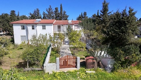 300 meters from the sea