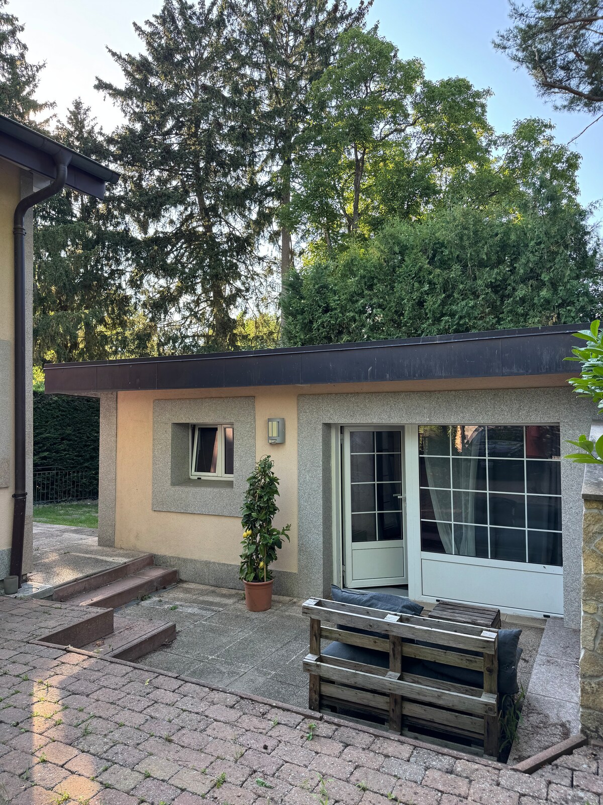 The exterior of a studio is depicted, featuring a pale grey facade with large glass doors framed by plants. Steps lead up to the entrance, while a wooden pallet serves as a rustic seating area. Tall trees provide shade in the background.