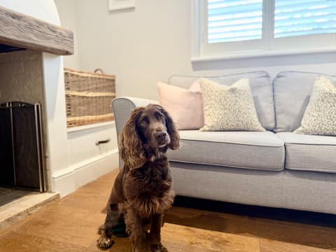 Top performing Airbnb: Latch Cottage in King's Lynn And West Norfolk