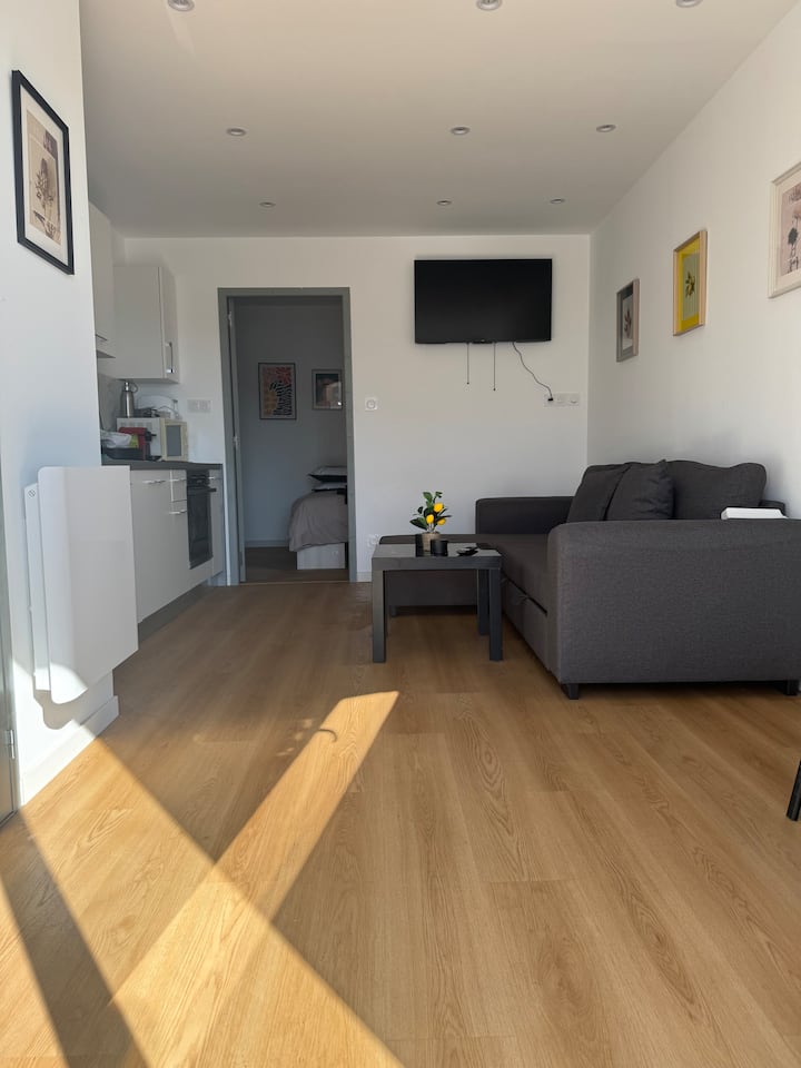 Chaleureux Studio Central(appartement B) - La Roche-sur-Yon