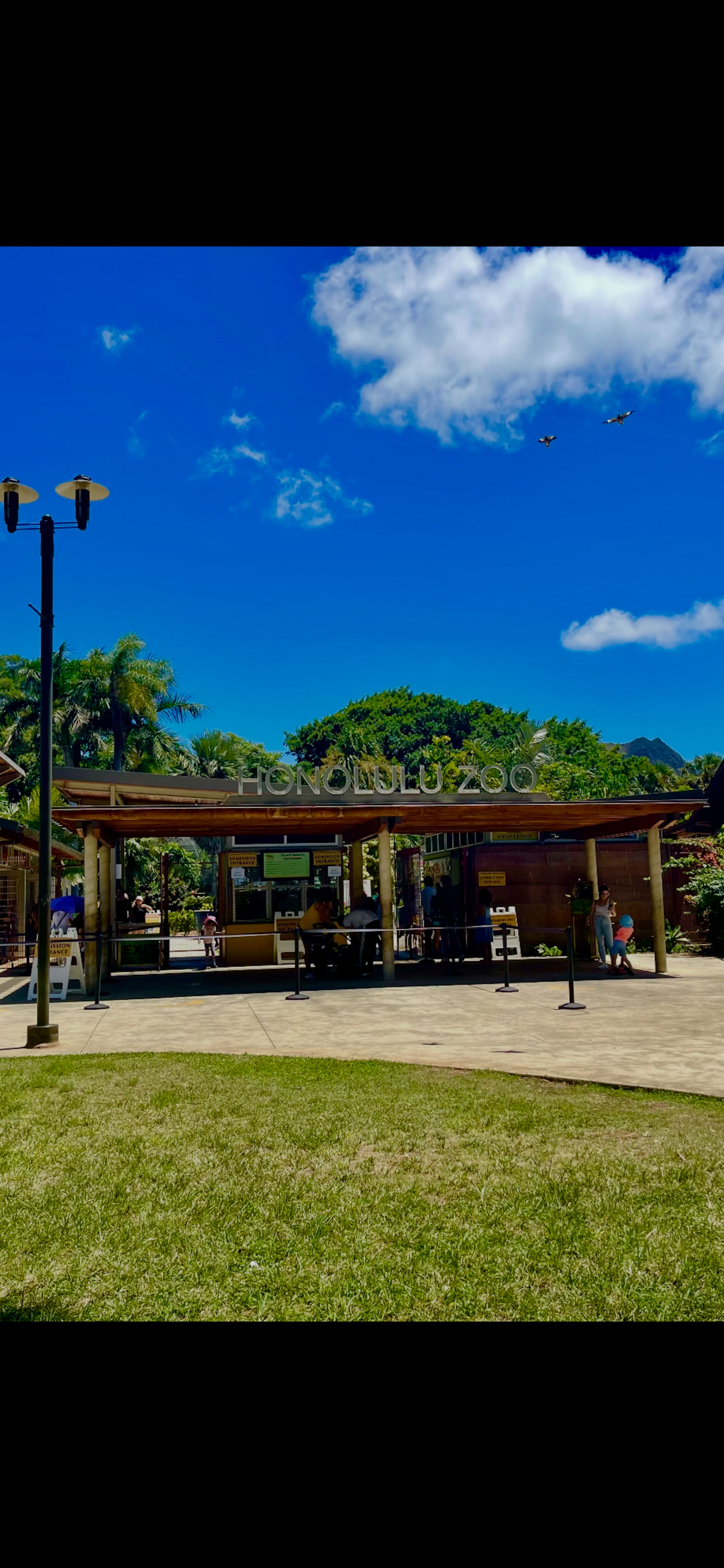 The Famous Ilikai Hotel, with Free Parking - Image 20