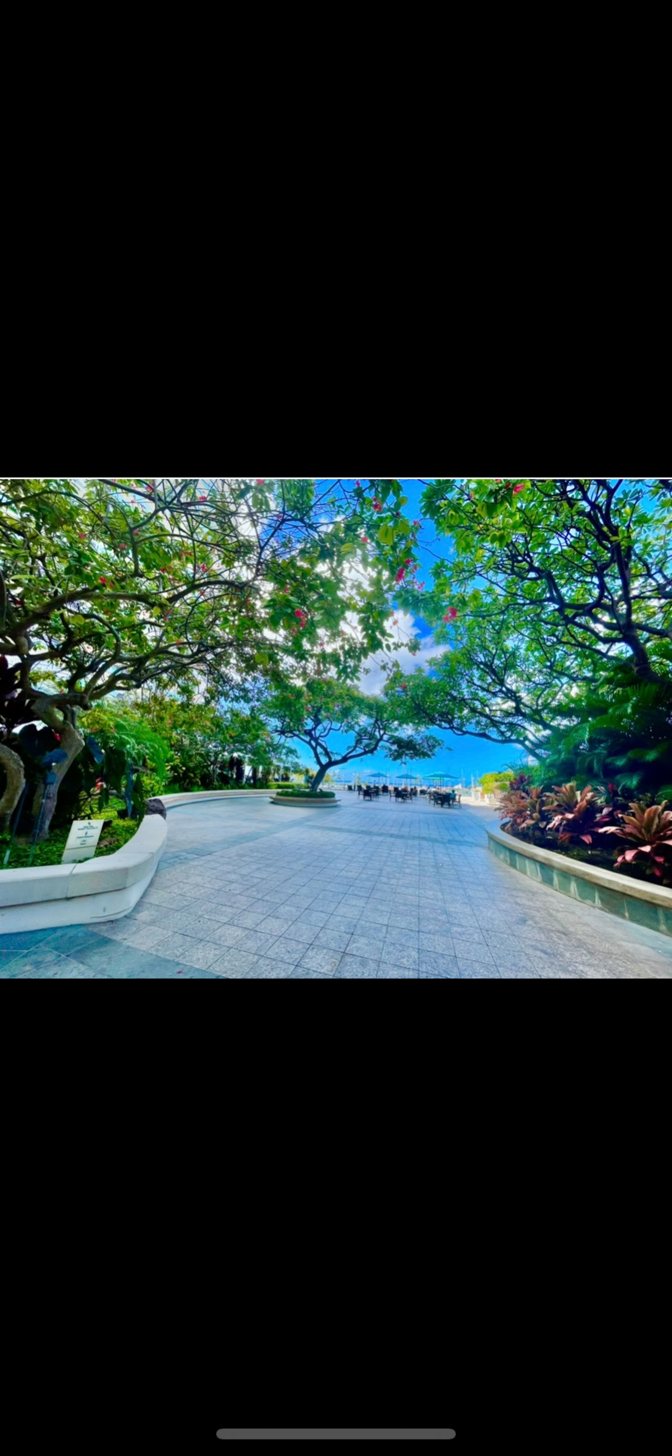 The Famous Ilikai Hotel, with Free Parking - Image 10