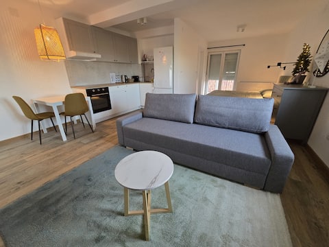 Airport Gate 25 (Apartment 1)