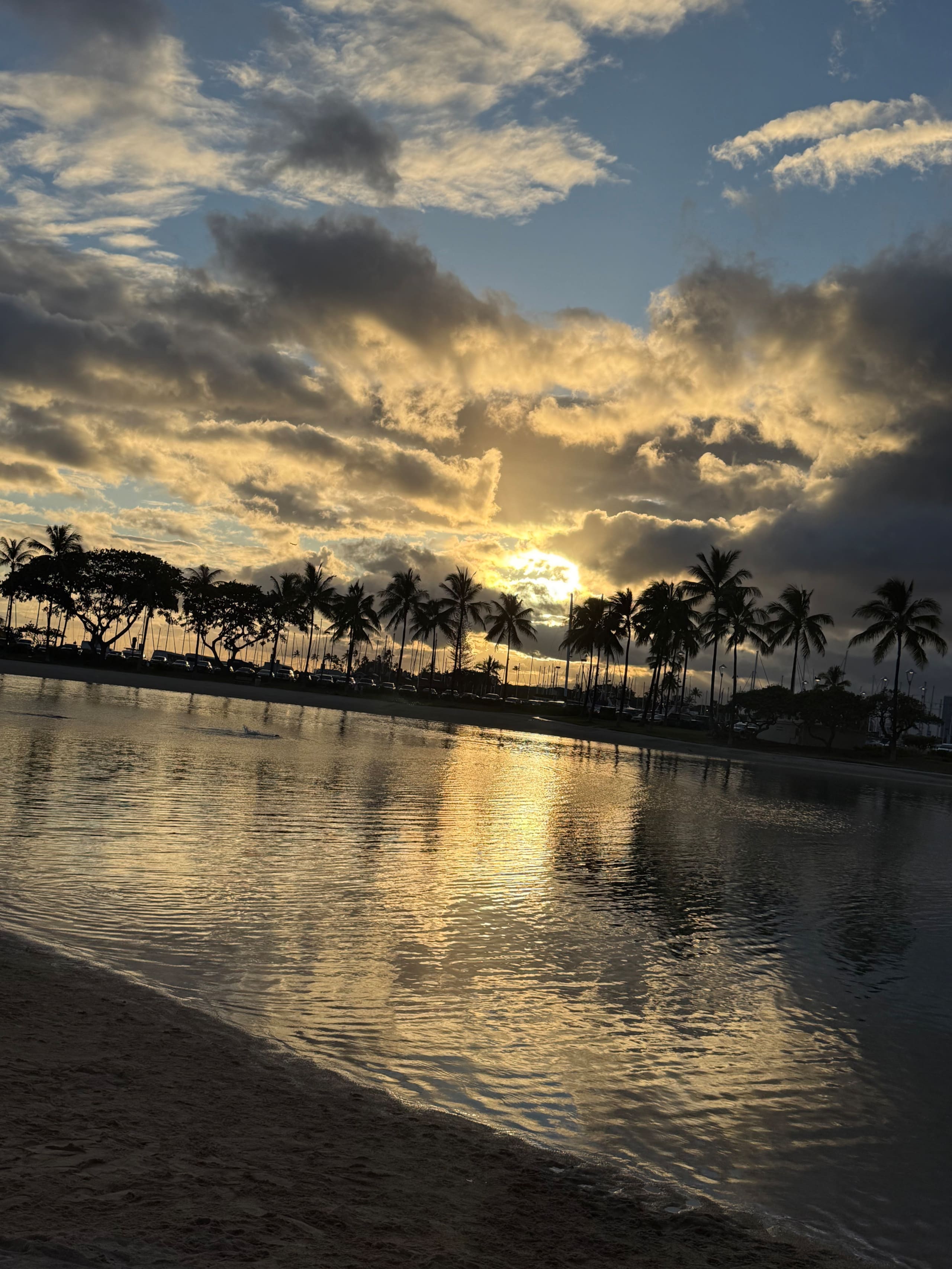 Condo in Honolulu · ★4.68 · 1 bedroom · 2 beds · 1 private bath - Image 36
