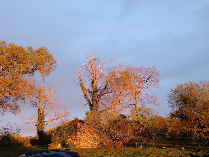 Chambre D - Mont-de-Marsan