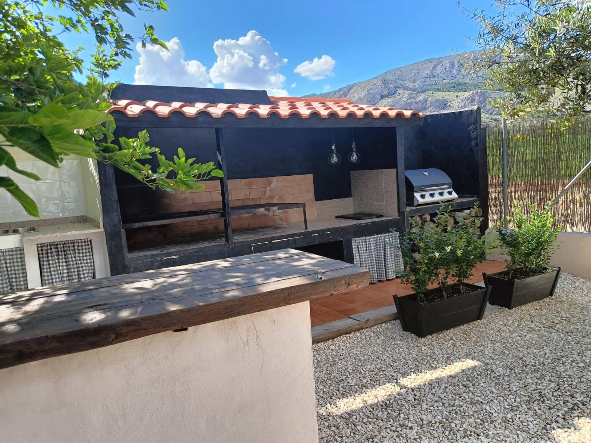 casa loli — photo 4