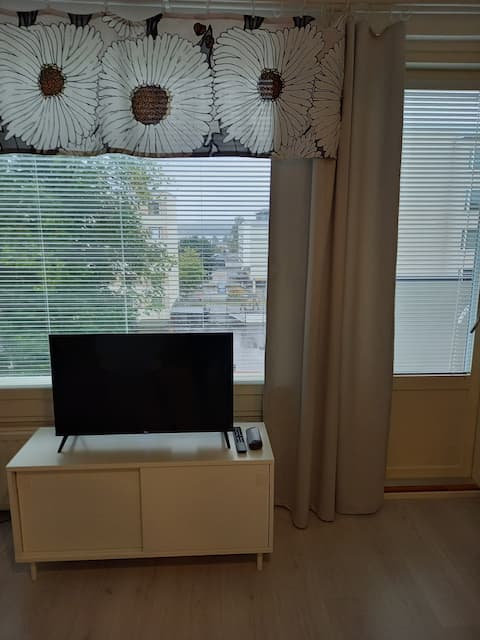 Successful Airbnb property: 22 sqm studio in the center of Hämeenlinna. in Hämeenlinna