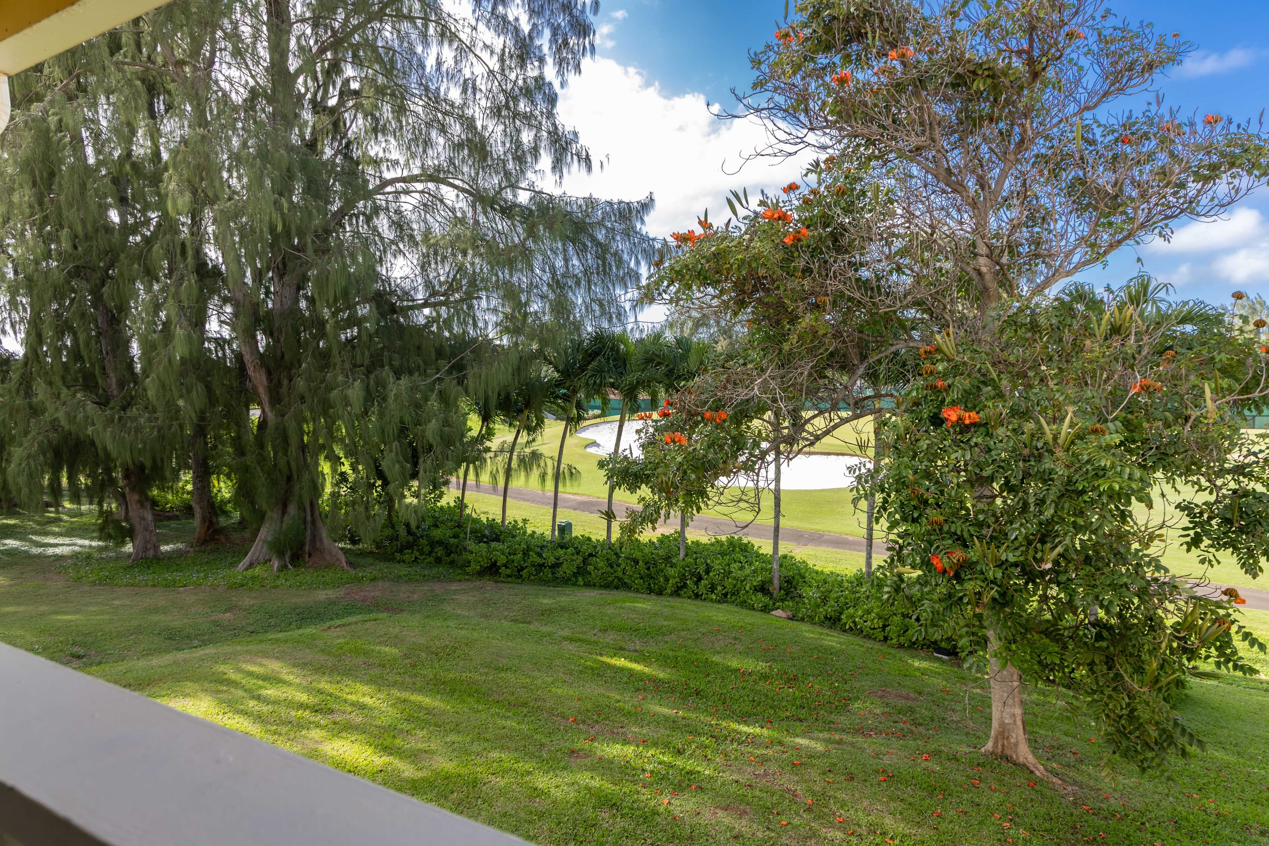 Pualani at Turtle Bay - Image 74