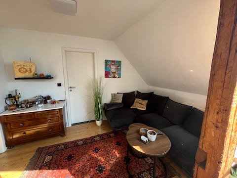 Top performing Airbnb: Sunny loft with roof terrace in Mainz