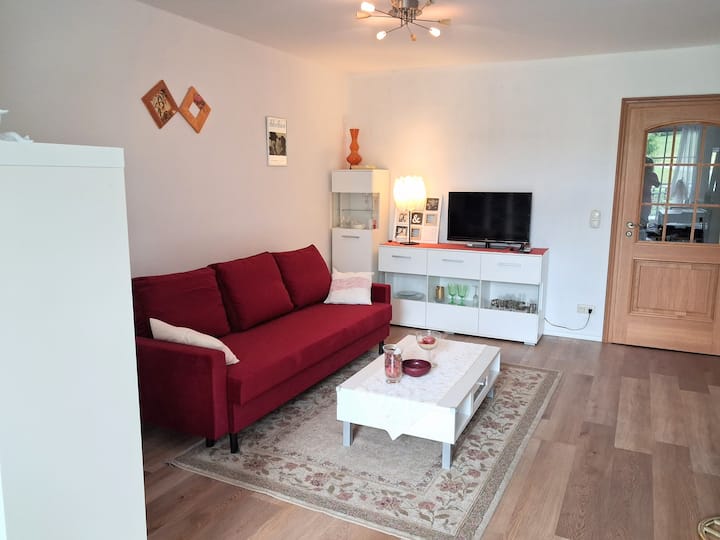 Sala de estar con sofá cama