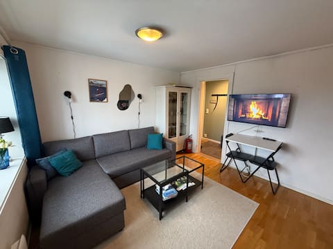 Popular Airbnb listing: Cozy studio in Narvik – perfect location in Narvik